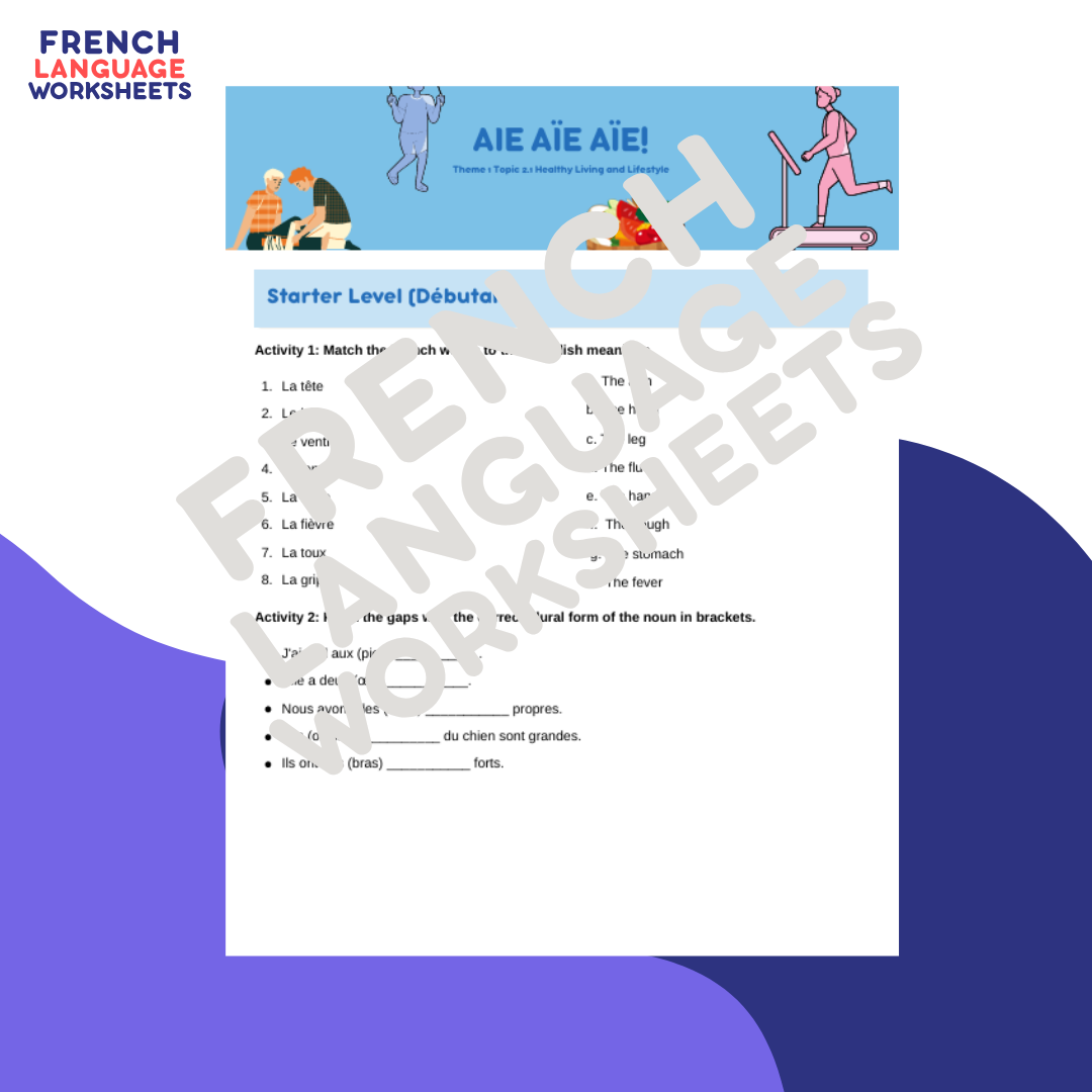 Aïe aïe aïe! - GCSE French Worksheet (AQA Theme 1)