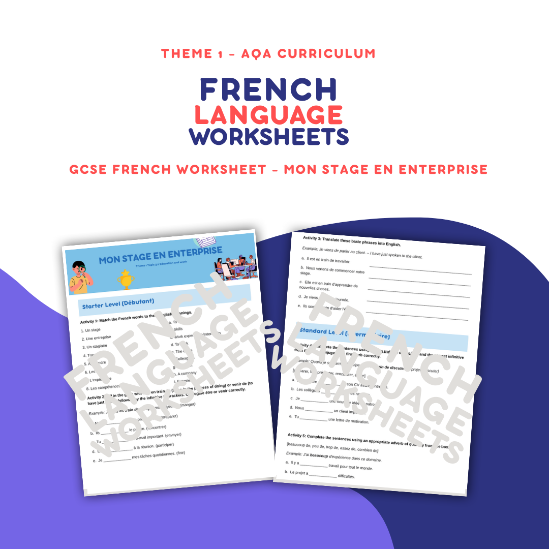 Mon Stage en Enterprise - GCSE French Worksheet (AQA Theme 1)
