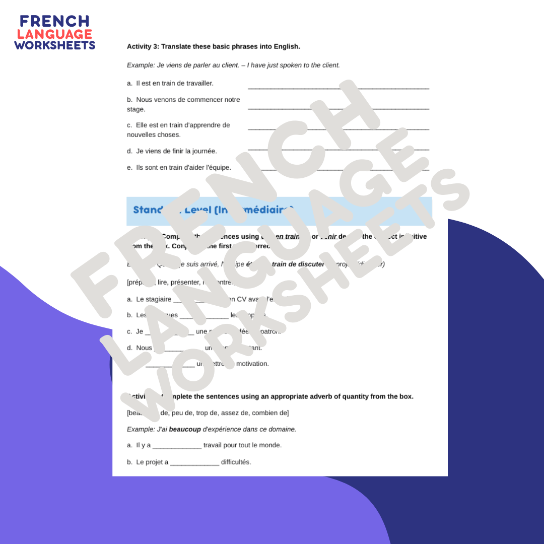 Mon Stage en Enterprise - GCSE French Worksheet (AQA Theme 1)