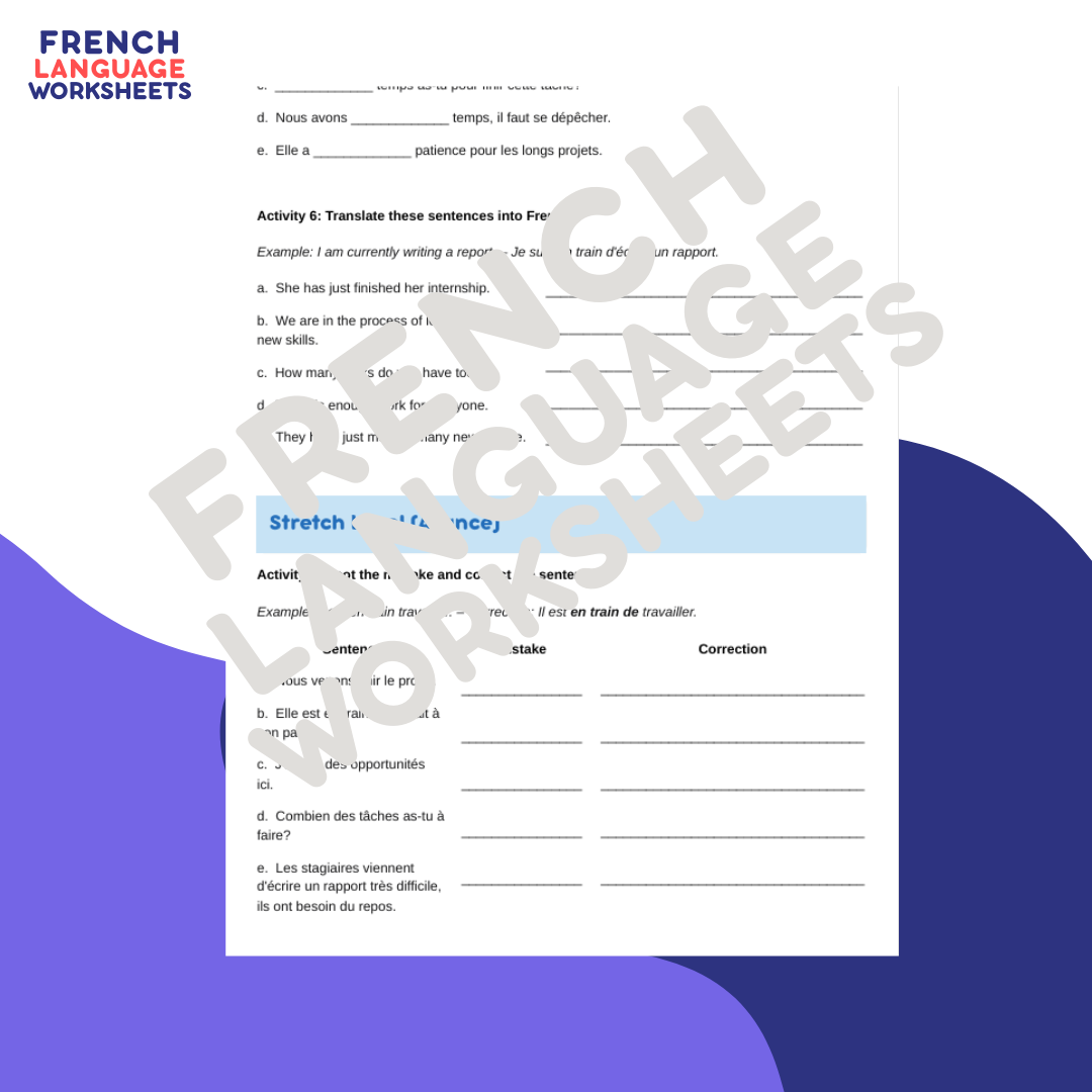 Mon Stage en Enterprise - GCSE French Worksheet (AQA Theme 1)