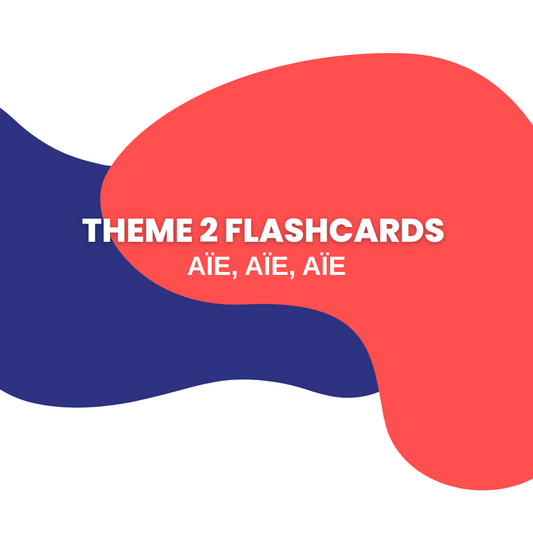 Theme 2 Flashcards GCSE French: Aïe, Aïe, Aïe