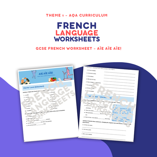 Aïe aïe aïe! - GCSE French Worksheet (AQA Theme 1)