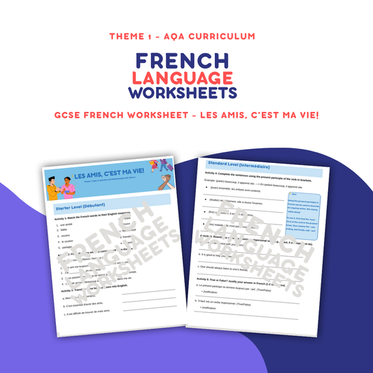Les Amis, C'est Ma Vie - GCSE French Worksheet (AQA Theme 1)