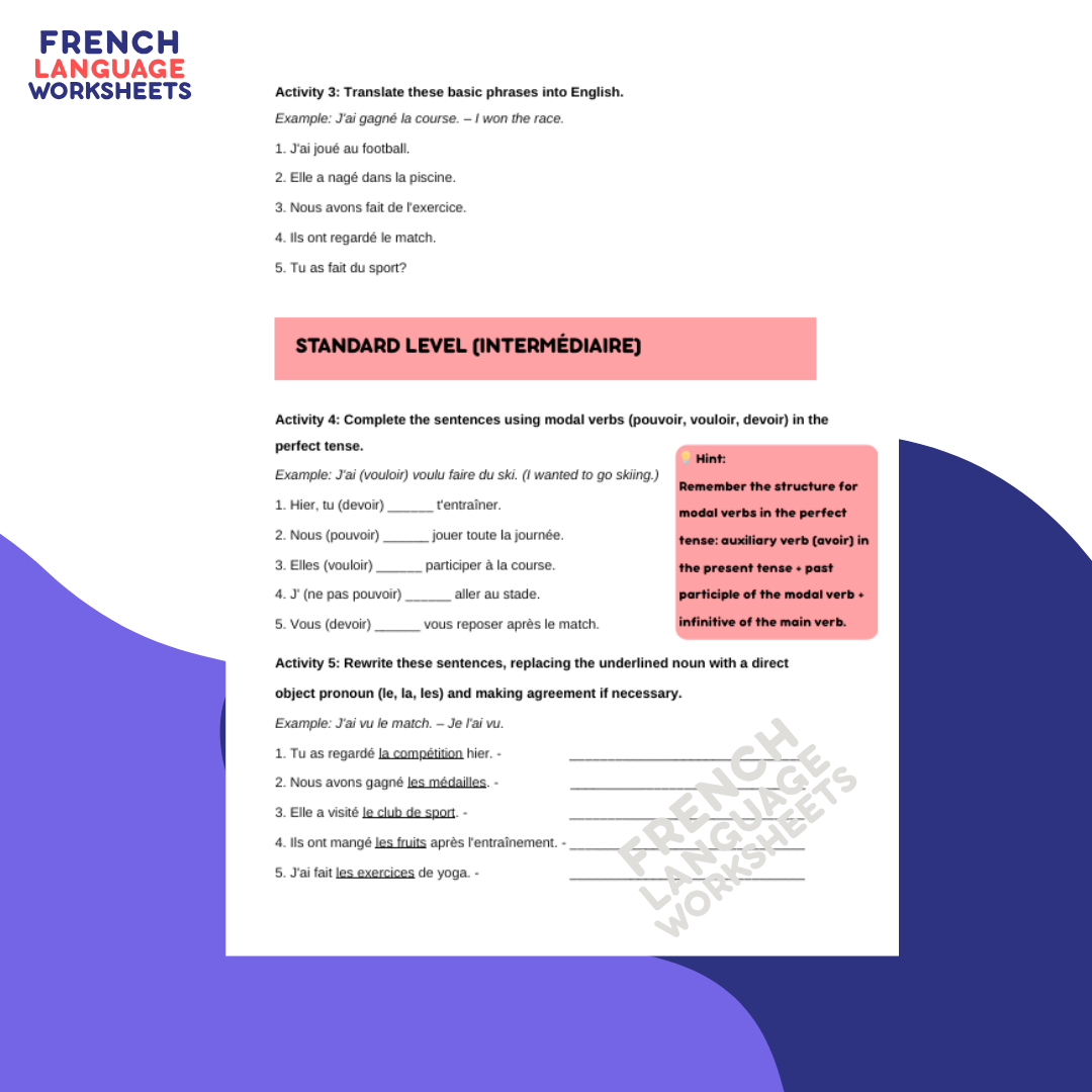 Le sport, c'est ma passion! - GCSE French Worksheet (AQA Theme 2)