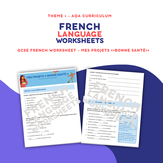 Mes Projets Bonne Santé - GCSE French Worksheet (AQA Theme 1)