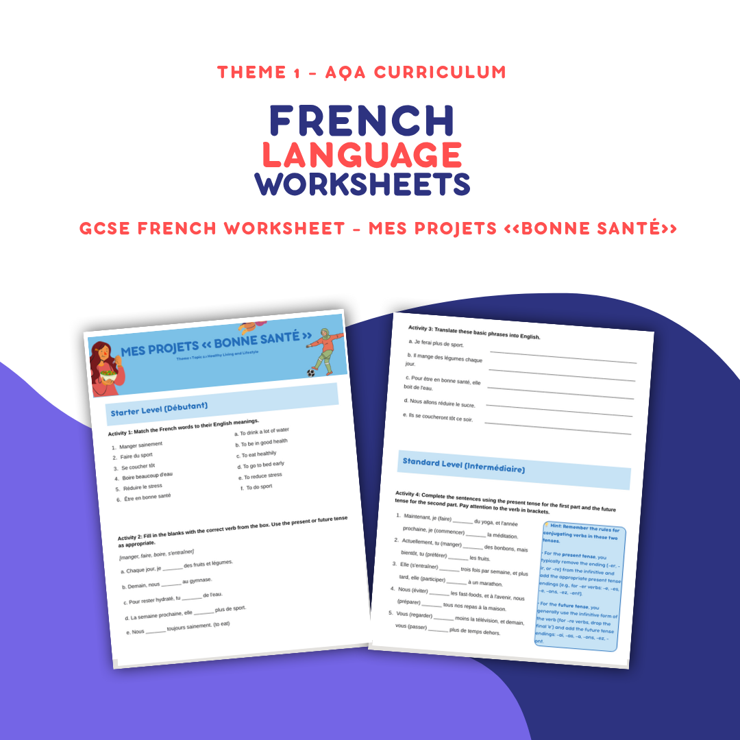 Mes Projets Bonne Santé - GCSE French Worksheet (AQA Theme 1)