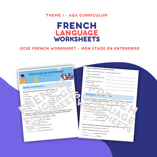 Mon Stage en Enterprise - GCSE French Worksheet (AQA Theme 1)