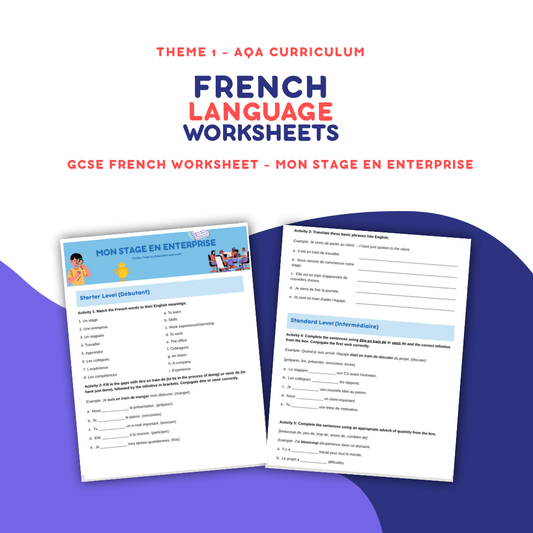 Mon Stage en Enterprise - GCSE French Worksheet (AQA Theme 1)