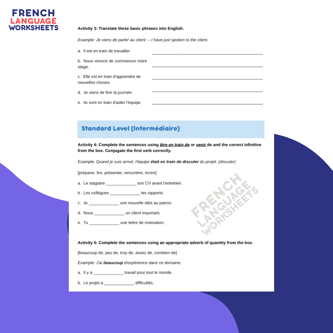 Mon Stage en Enterprise - GCSE French Worksheet (AQA Theme 1)